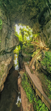 Aerial view of Mangapohue Natural Bridge with a wooden walkway winding through a limestone gorge and lush green forest Te Anga, Waikato Region, New Zealand.