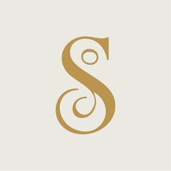 Fototapeta premium Large gold serif letter S typography