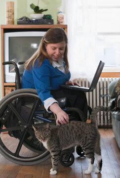 Businesswoman with Spina Bifida in a wheelchair using a laptop at home and petting a cat