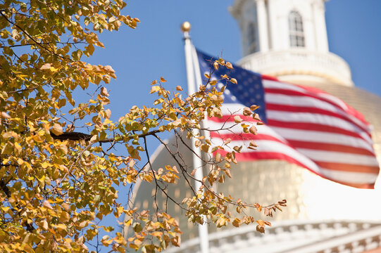 Tree and an American flag in front of a government building