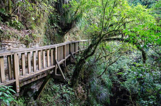 Aerial view of the wooden walkway at Mangapohue Natural Bridge surrounded by lush green forest and mossy cliffs in Te Anga, Waikato Region, New Zealand.