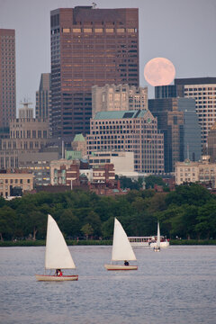Sailboats with a city at the waterfront, Charles River
