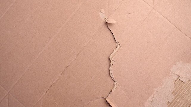 Movements of torn brown cardboard paper with a jagged edge. Ripped corrugated fiberboard surface closeup. Concept of delivery package damage