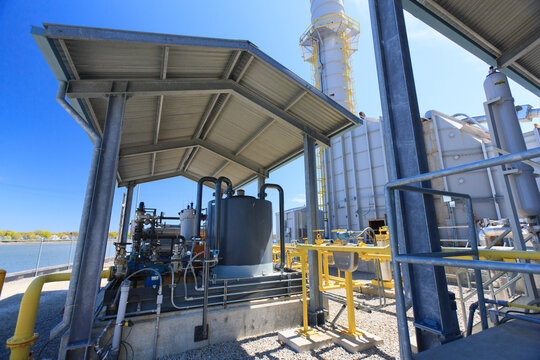 Natural gas distribution system for an electric cogeneration plant