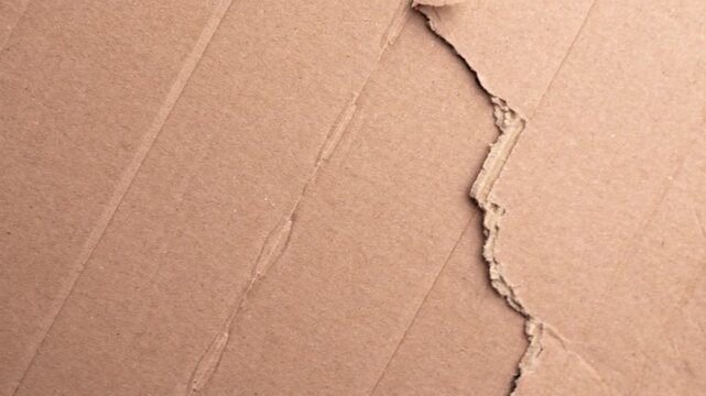 Detailed close up of torn corrugated cardboard surface with fibers. Rough ripped edge and natural brown recycled paper texture. Rotation
