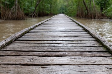 Fototapeta premium A weathered wooden boardwalk stretches into a lush green mangrove forest beside calm water.