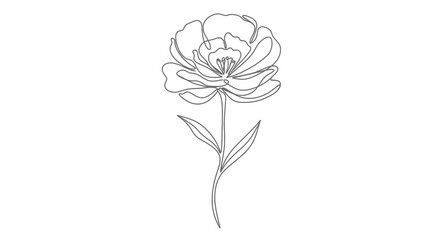 Detailed drawing of a flower. © masuk