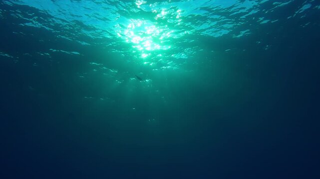 Water surface with shallow waves and bright sun, sunlight diffused through the water column illuminating the ocean depths, backlit. Natural background with ripples on the surface and sunbeams