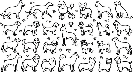 Dog breeds line icon set featuring retriever poodle bulldog husky shepherd pug corgi shih tzu and corgi outlines © vector design 