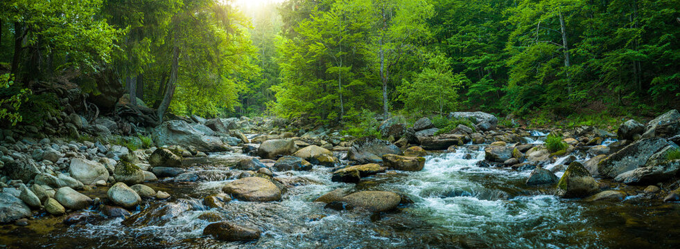 Crystal clear mountain stream flowing among large granite boulders in a lush green forest. Fresh spring landscape with rushing water and sunlit trees in a natural wilderness setting.