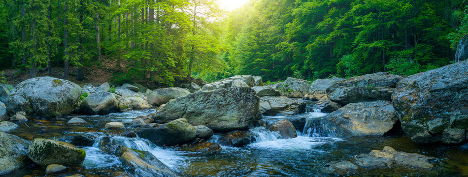 Crystal clear mountain stream flowing among large granite boulders in a lush green forest. Fresh spring landscape with rushing water and sunlit trees in a natural wilderness setting.