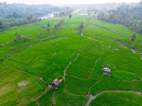 Aerial view of Taba Tembilang rice terraces with vibrant green paddies, small wooden huts, and palm trees under a misty sky in Arga Makmur, Bengkulu, Indonesia.