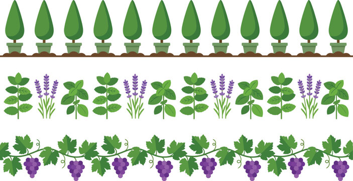 Topiary trees and herb gardens combined with grape vines form an elegant collection of natural frame dividers.