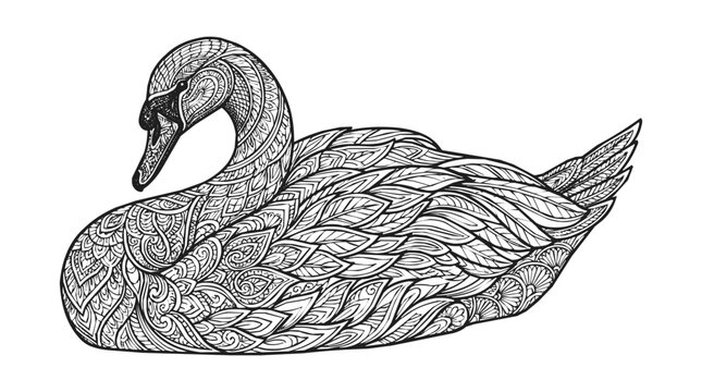 Decorative Swan Zentangle Mandala Art Illustration for Adult Coloring Page with Intricate Pattern and Ethnic Ornament Details