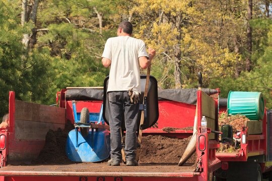 Landscaper getting mulch from the back of a truck in a wheelbarrow