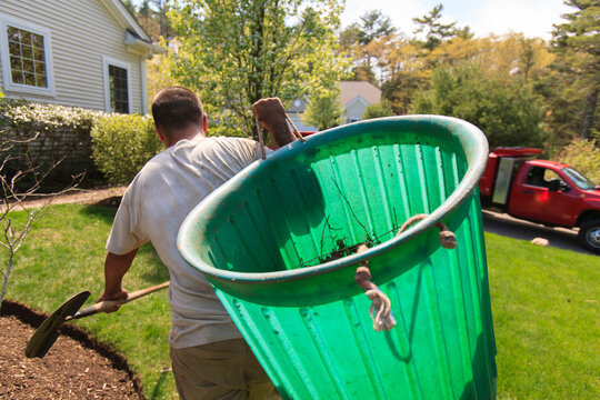 Landscaper removing weeds in a bin to his truck