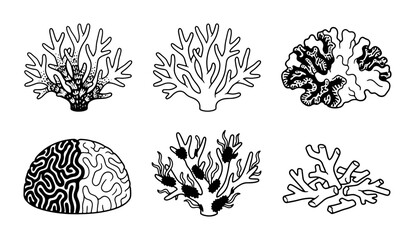 Diverse Coral Reef Collection, Marine Life Icons, Underwater Ecosystem Elements, Ocean Biology Illustrations © Nafisa