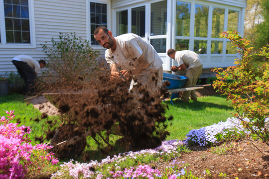 Landscapers putting mulch from wheelbarrows into a home flower garden
