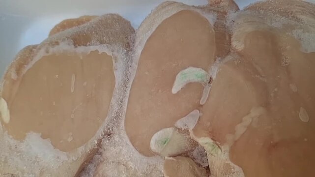 "Close-up of raw chicken breast fillets on a white styrofoam tray. The chicken shows signs of discoloration with visible green patches, indicating spoilage or poor quality, highlighting food safety co