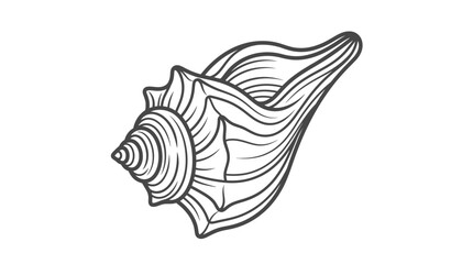 Detailed line art illustration of a vertical conch shell. © nurul mustofa