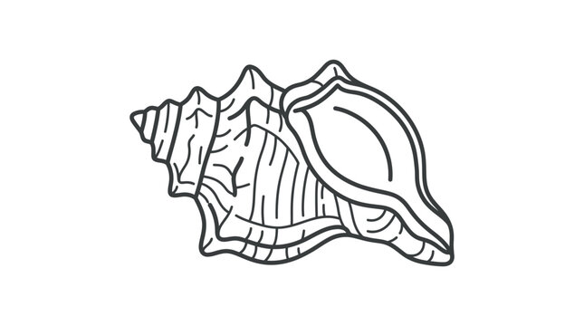 Minimalist line art of a conch seashell horizontally.