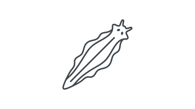Aquatic flatworm marine invertebrate simple line art illustration.