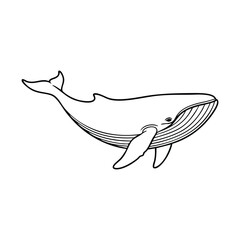 A simple black and white line art illustration of a large whale swimming, depicted with its distinctive baleen plates and flippers. © Orko Talukdar