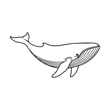 A simple black and white line art illustration of a large whale swimming, depicted with its distinctive baleen plates and flippers.
