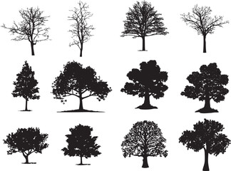 Obraz premium Black silhouette of various tree types, isolated on white background, black tree silhouette, isolated tree