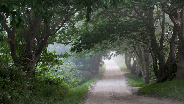 View of a country road