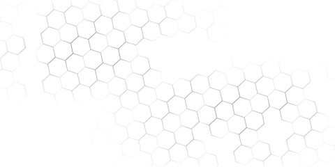 Fishing or soccer net. Repeated hexagon pattern. Black wired mesh texture isolated on white background. © fathor