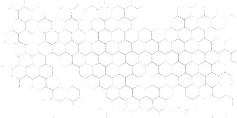 Fishing or soccer net. Repeated hexagon pattern. Black wired mesh texture isolated on white background. © fathor