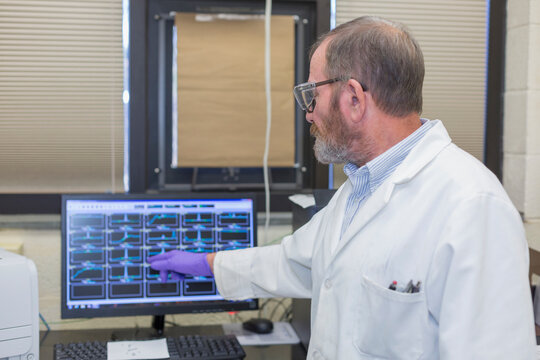 Lab chemist reading results of automated water test