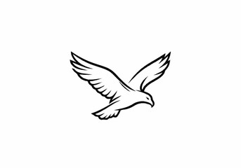 Fototapeta premium Majestic Eagle in Flight Line Art Illustration.