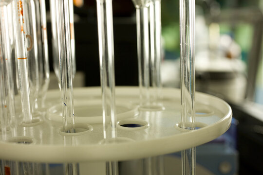 Test tubes in laboratory, close-up