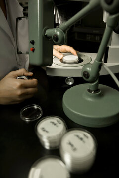 Scientist performing a bacteria count, Membrane filtration method, laboratory