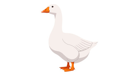 White goose standing alone, simple illustration, animal concept © Adam