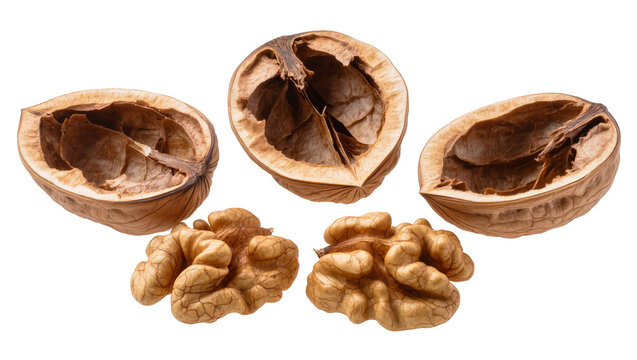 Walnut kernels and empty shells on white