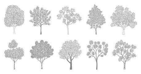 Trees elevation view vector, architectural landscape graphics realistic vegetation symbols © AYAT002