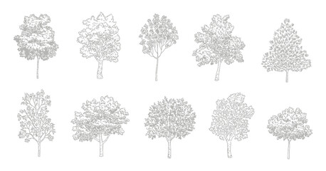Trees elevation view vector, architectural landscape graphics realistic vegetation symbols © AYAT002