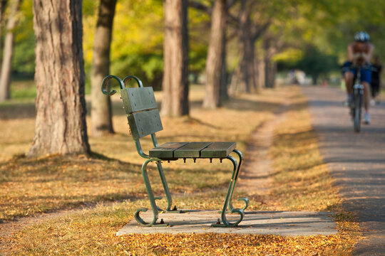 Bench at the roadside with cyclist in the background, Charles River