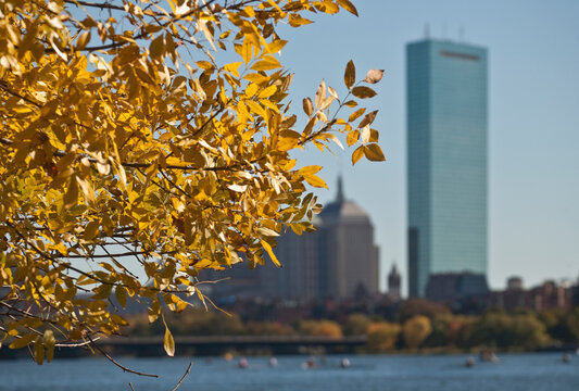 Fall trees at the riverside, Charles River, Back Bay