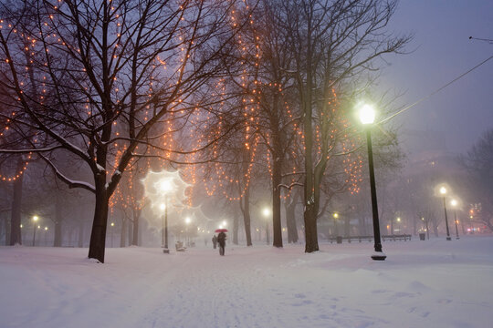 Christmas decoration in a public park in blizzard, Boston Common