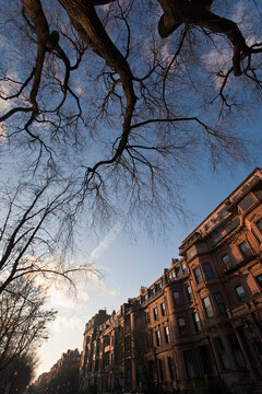 Low angle view of brownstone houses at dusk, Commonwealth Avenue
