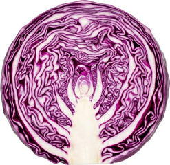 Obraz premium cabbage cross section