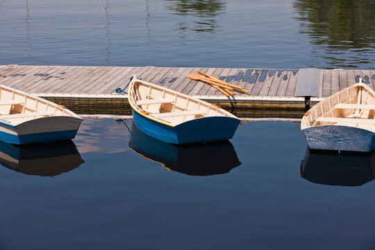 Row boats in the river, Charles River