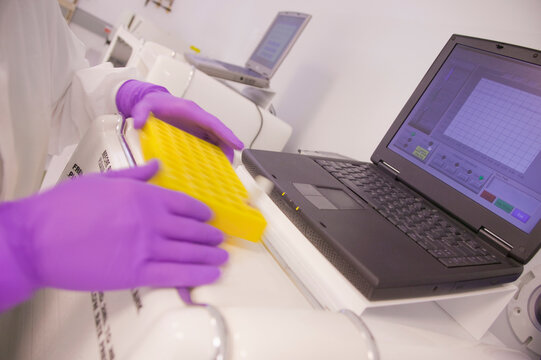 Scientist examining a medical report on a laptop