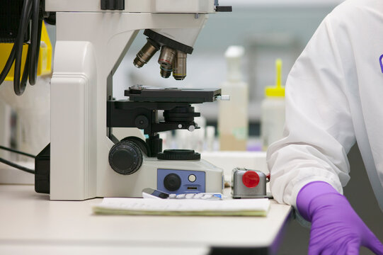 Scientist analyzing stem cell sample in a laboratory