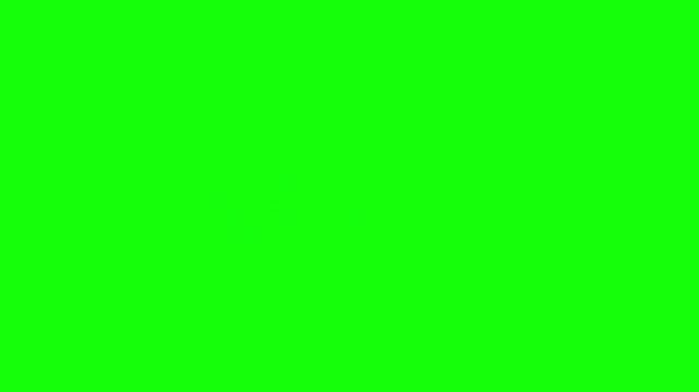 Animated cancelled and confirmed rubber stamp motion graphics on green screen background