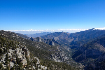 Fototapeta premium Panoramic mountain valley near Charleston Peak Nevada with limestone cliffs forested slopes and distant desert ranges